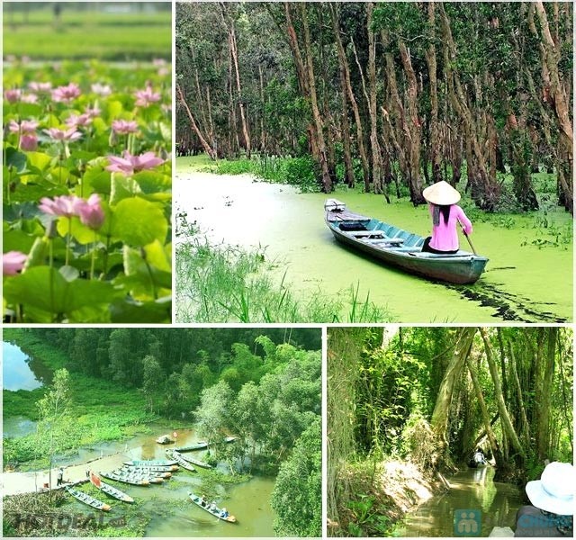 Tour Đồng Tháp thăm quan mùa nước nổi